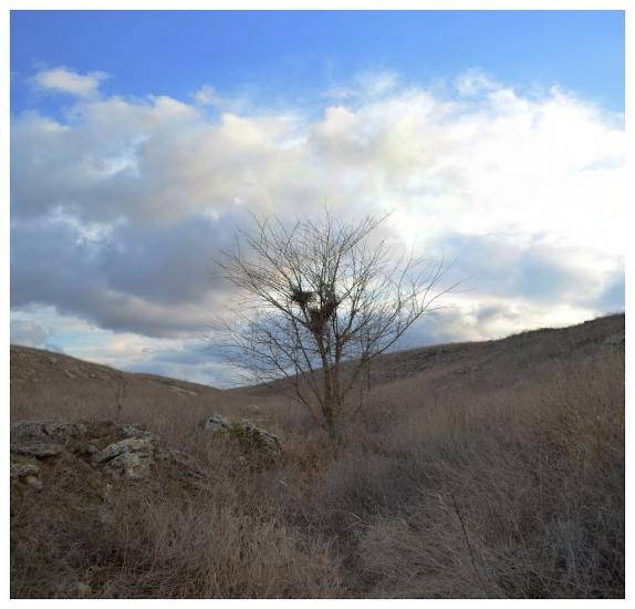Веселівка з panoramio.com - Веселовка