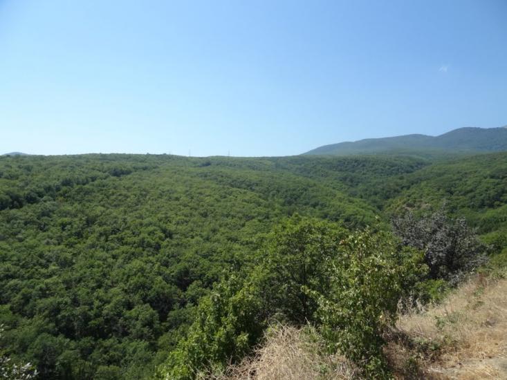 Виноградний з panoramio.com - Виноградний