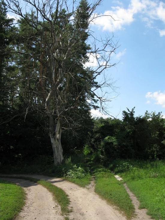 Лохвиця з panoramio.com - Лохвиця