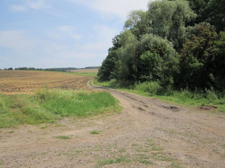 Гонтів Яр з panoramio.com - Гонтів Яр