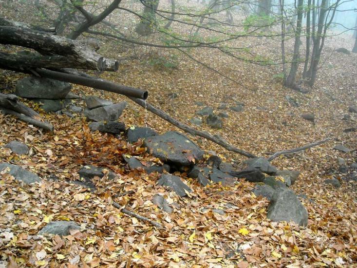 Виноградний з panoramio.com