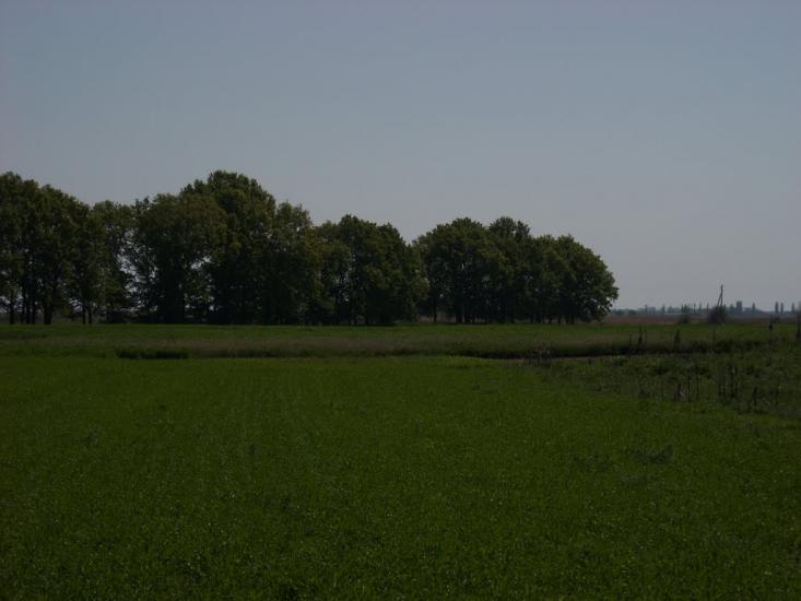 Святилівка з panoramio.com - Святиловка