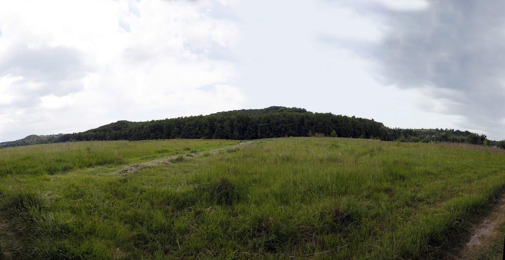 Коженики з panoramio.com - Коженики