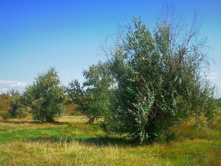 Поштове з panoramio.com - Поштове