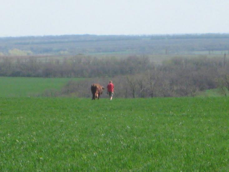 Димитрове з panoramio.com - Котлино