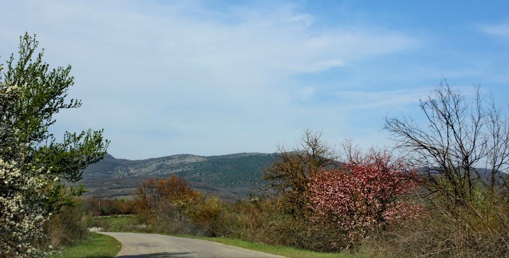Орлине з panoramio.com - Orlyne
