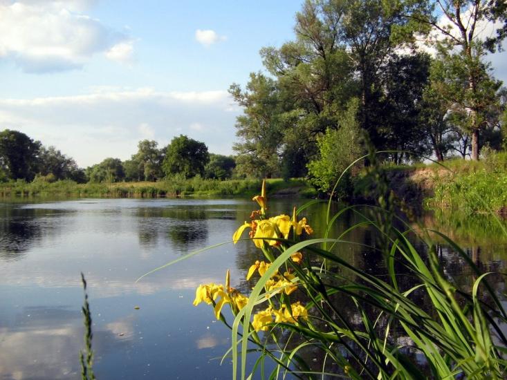 Вельбівка з panoramio.com - Вельбовка