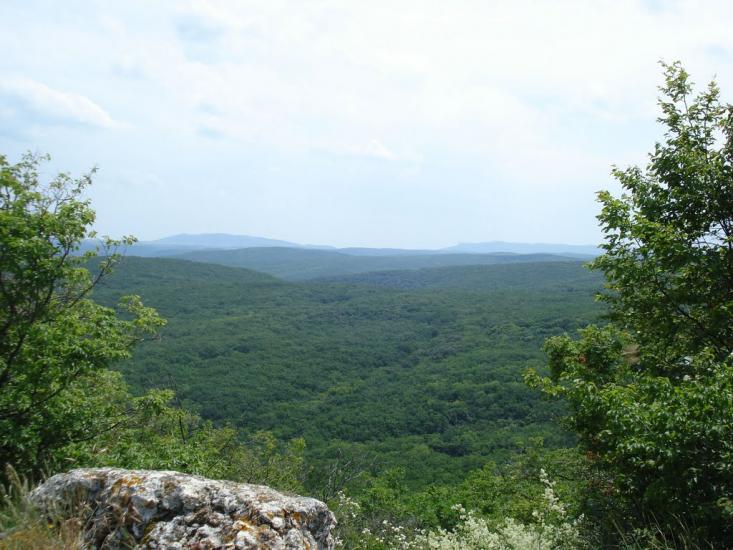 Міжгір'я з panoramio.com - Міжгір'я