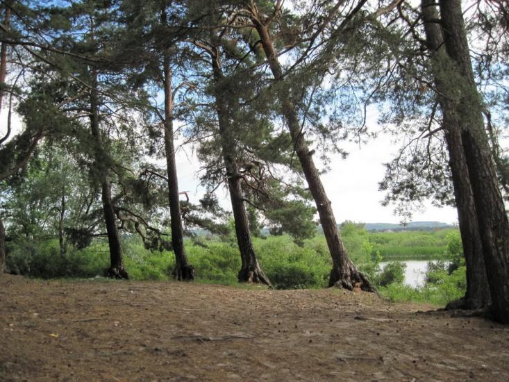 Кийлів з panoramio.com - Кийлов