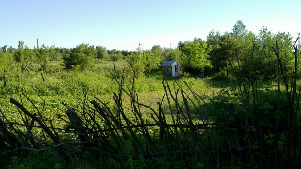 Лапаївка з panoramio.com - Лапаевка