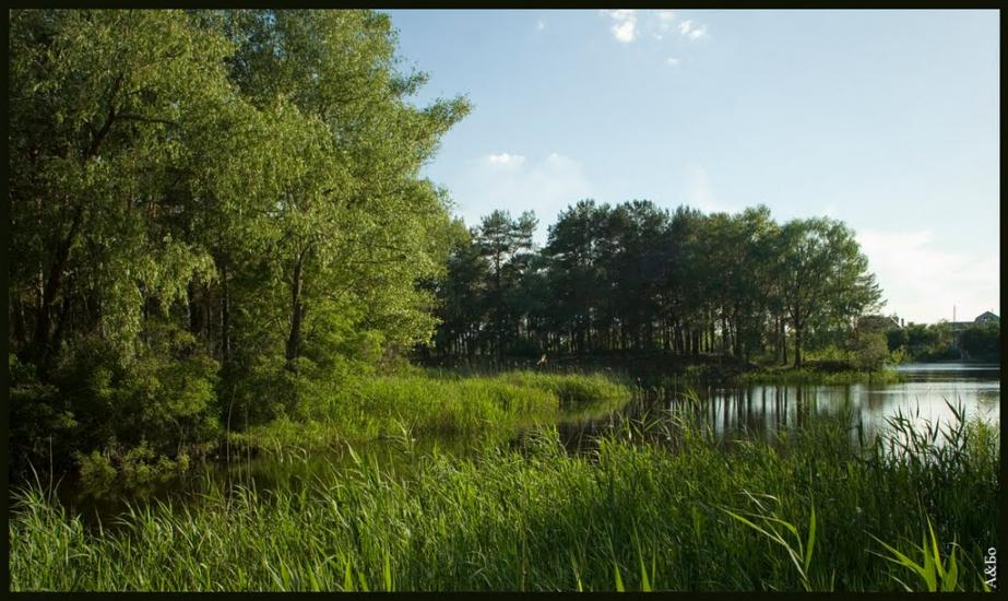 Червона Слобода з panoramio.com - Червона Слобода