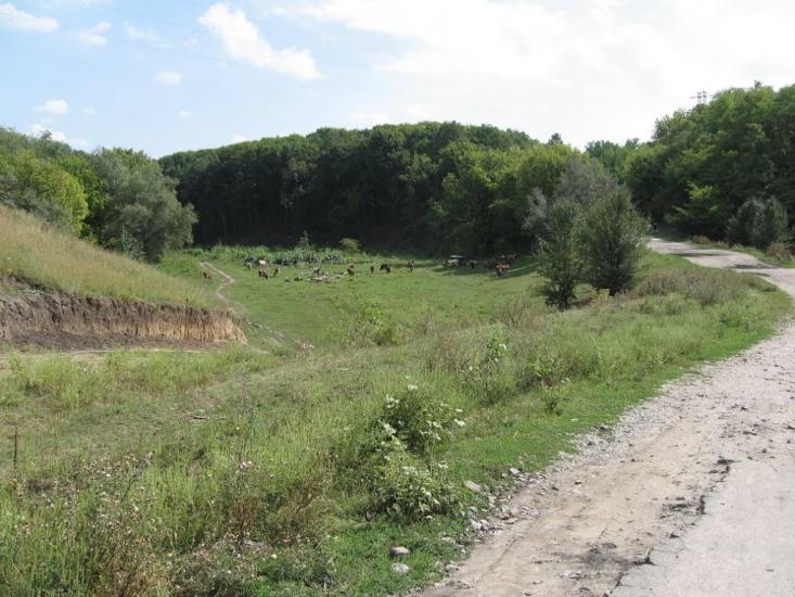 Лящівка з panoramio.com - Lyaschivka