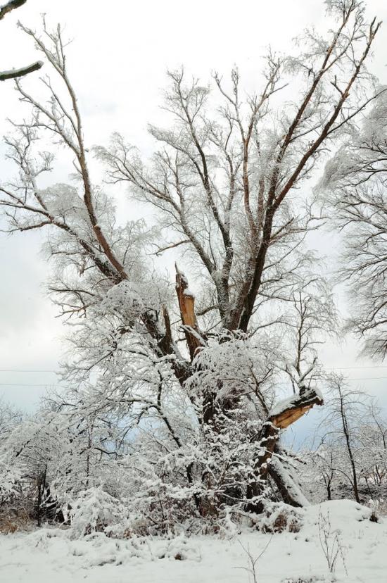 Кремінна з panoramio.com - Кремінна