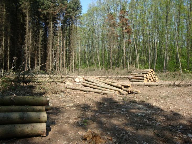 Карпівці з panoramio.com - Карпівці