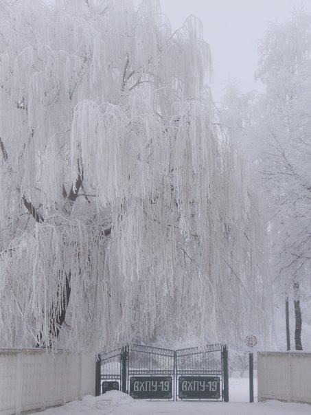 Гриців з panoramio.com - Грицев