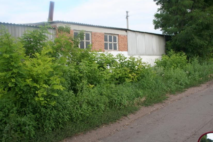Плетений Ташлик з panoramio.com - Плетений Ташлик