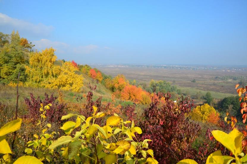 Великі Дмитровичі з panoramio.com - Великі Дмитровичі