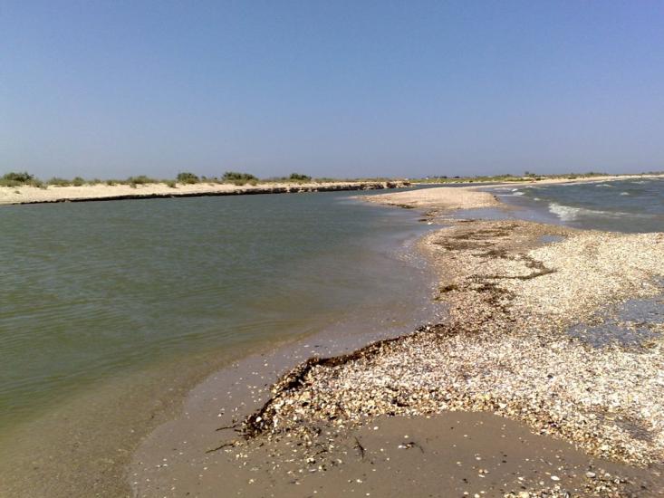 Лиман з panoramio.com - Лиман