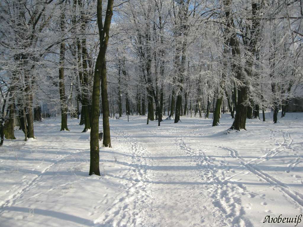 Любешів сучасний - Любешов
