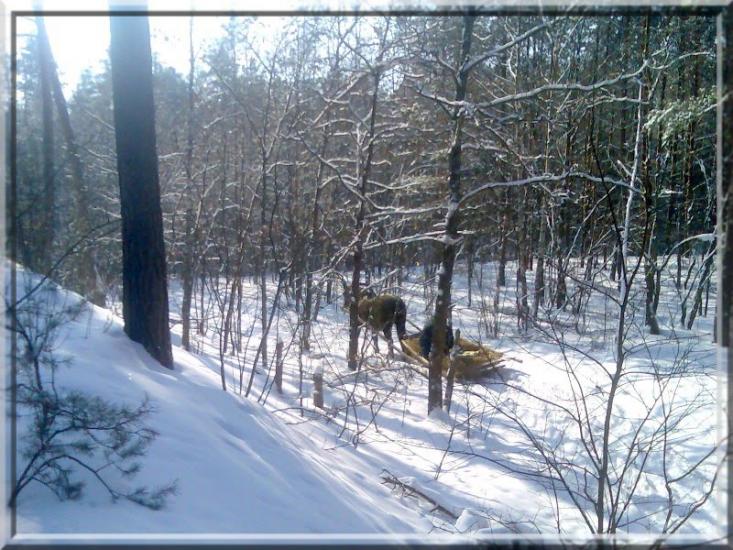Кушкине з panoramio.com - Kushkyne