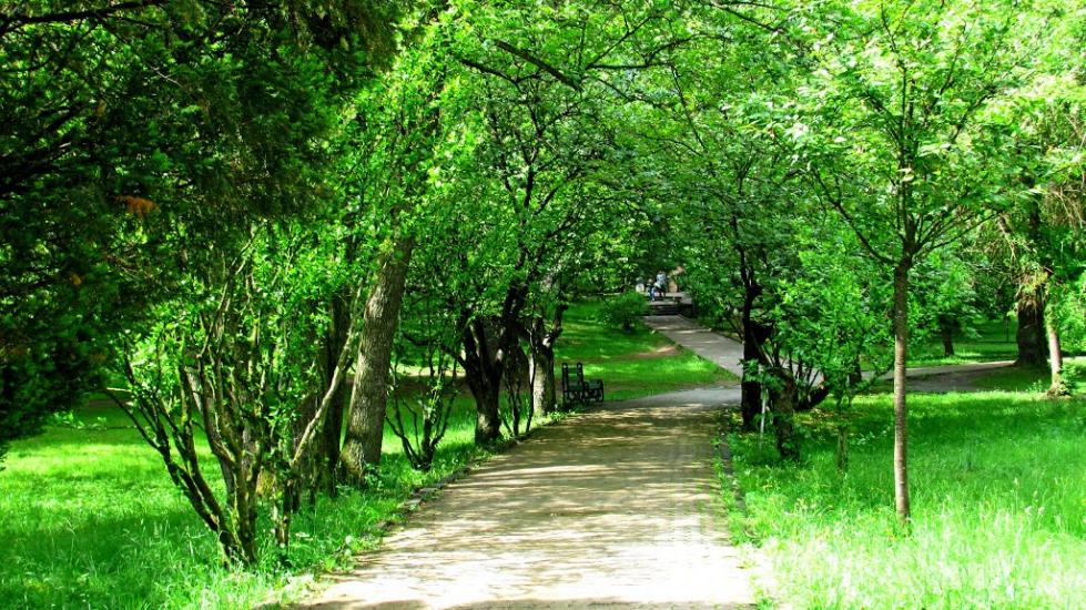 Карпати з panoramio.com - Карпаты