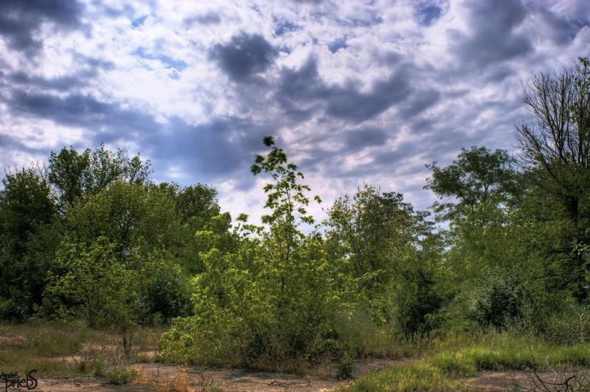 Багерове з panoramio.com - Багерове