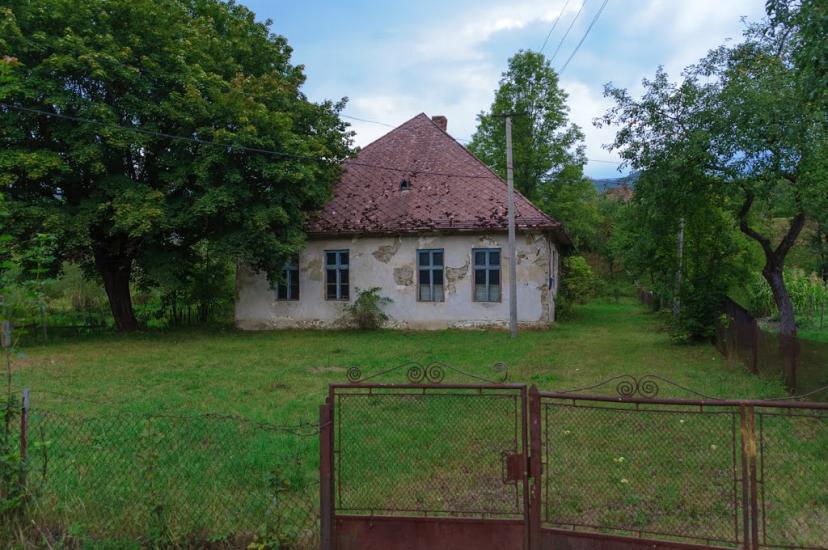 Люта з panoramio.com - Люта