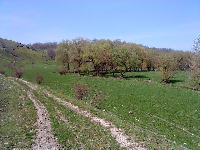 Яланець з panoramio.com - Jalanets