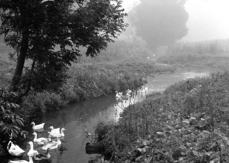 Миклашів з panoramio.com - Миклашів