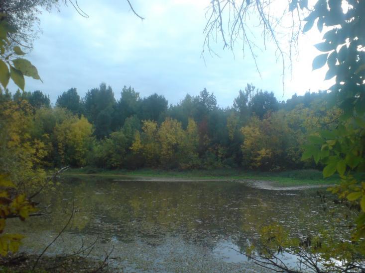 Вінкове з panoramio.com - Вінкове