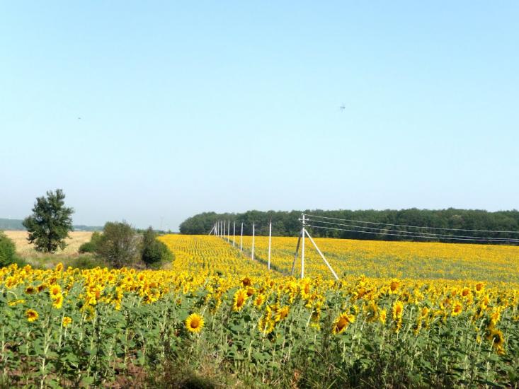 Хорошеве з panoramio.com - Хорошеве