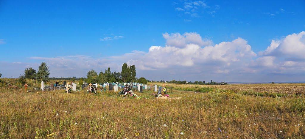 Нікішине з panoramio.com - Никишино