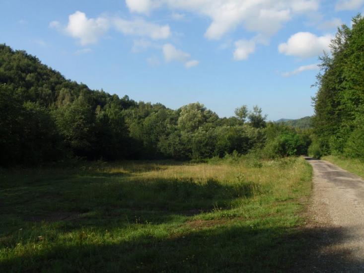 Княгиня з panoramio.com - Княгиня