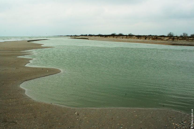 Лиман з panoramio.com - Лиман