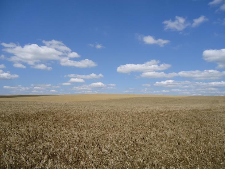 Кузьмин з panoramio.com - Кузьмин