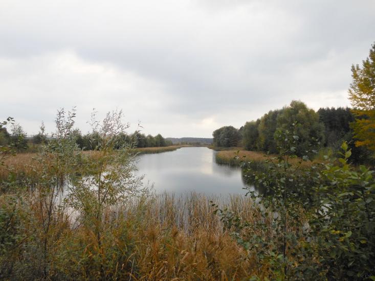 Любомудрівка з panoramio.com - Любомудровка