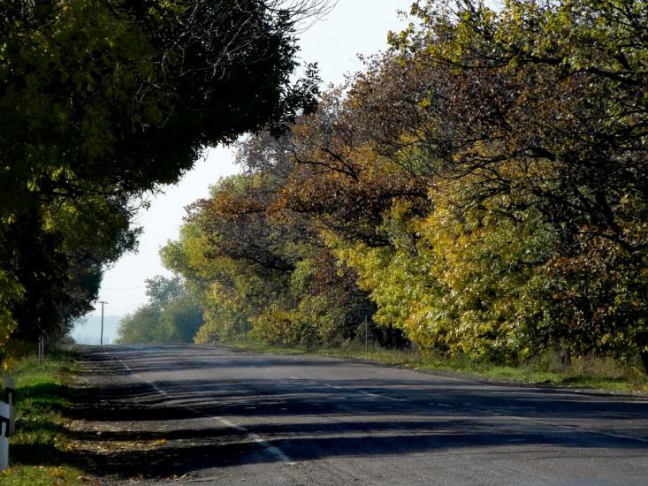 Мар'янське з panoramio.com - Мар'янське