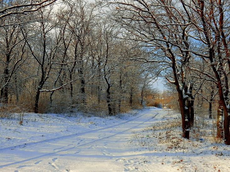 Ольховатка з panoramio.com - Olkhovatka