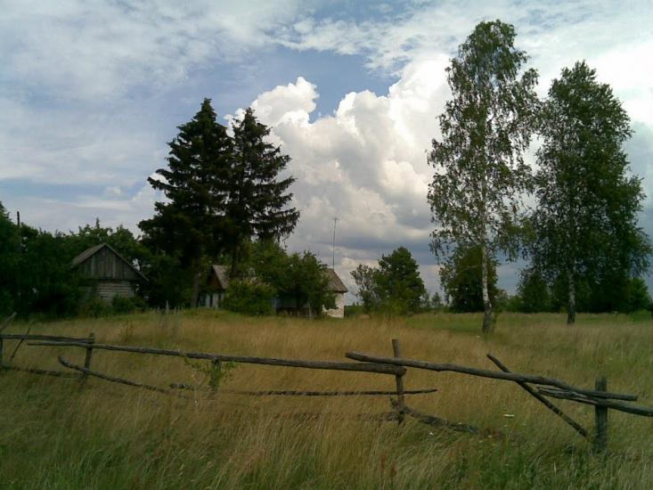 Вільха з panoramio.com - Вільха