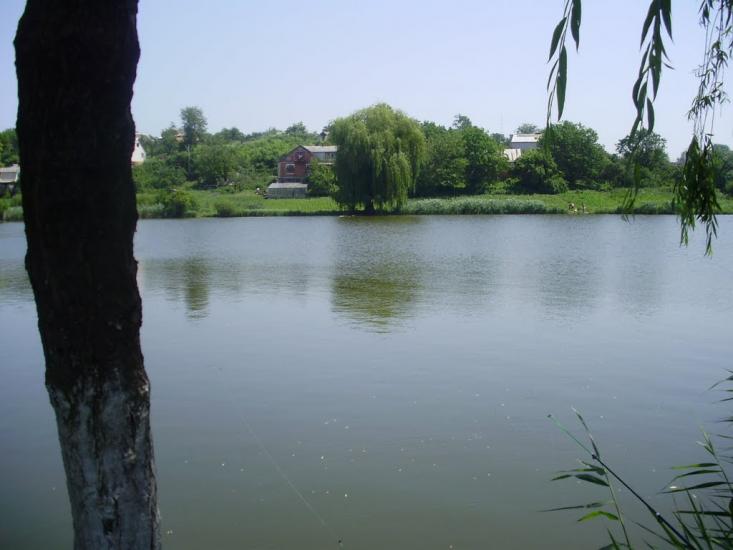 Зарванці з panoramio.com - Зарванцы