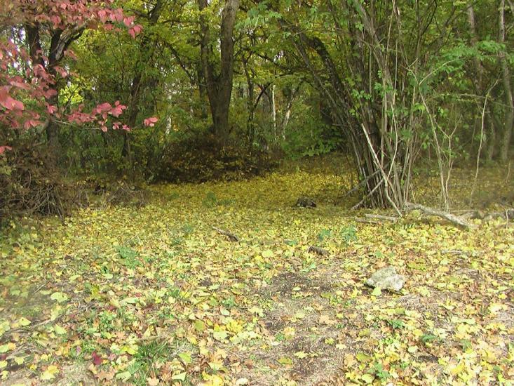 Земляничне з panoramio.com - Земляничное