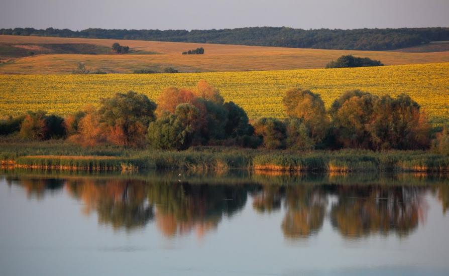 Стрілеча з panoramio.com - Стрелечья