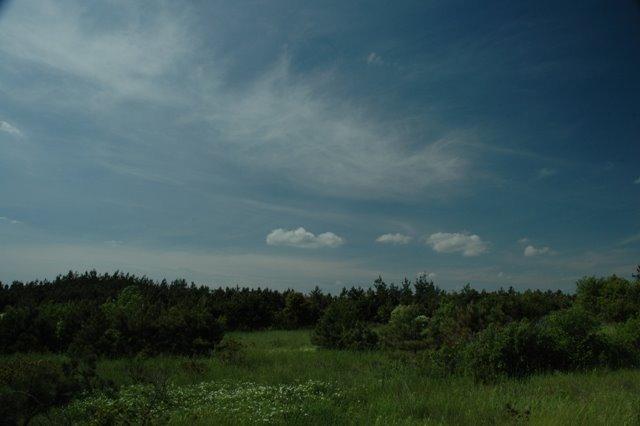 Кринички з panoramio.com - Кринички