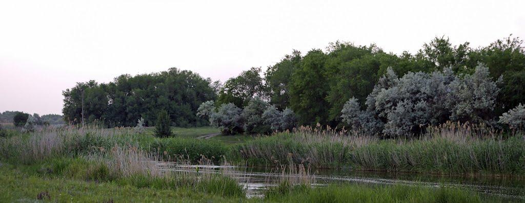 Дніпровка з panoramio.com - Дніпровка