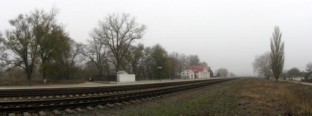 Багерове з panoramio.com - Багерове