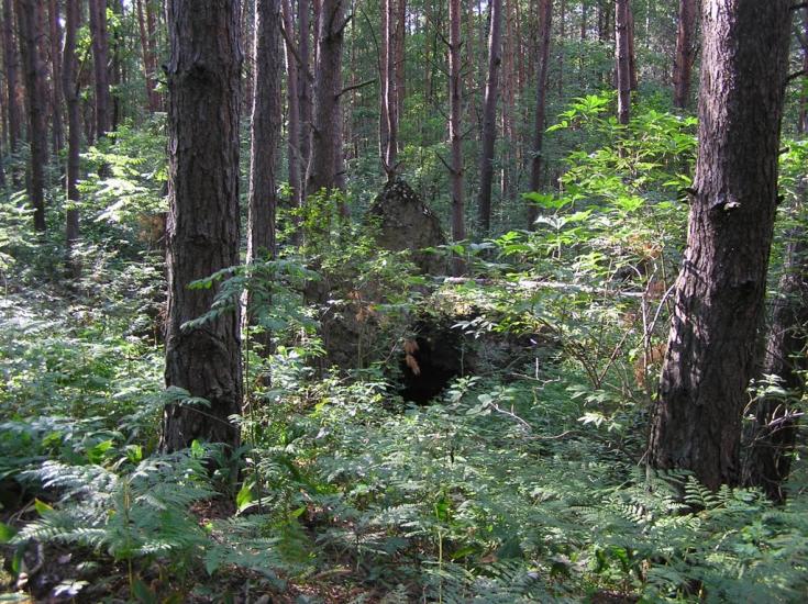 Нова Ушиця з panoramio.com - Новая Ушица