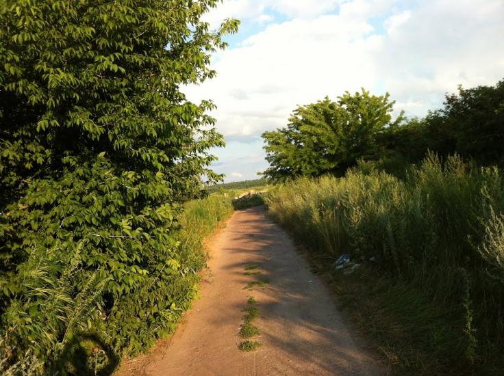 Новосілки з panoramio.com - Новосілки