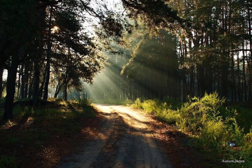 Стара Покровка з panoramio.com - Стара Покровка