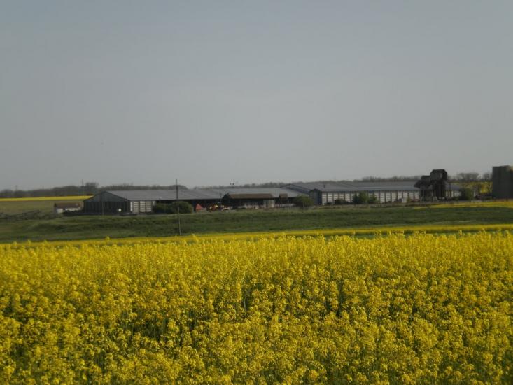 Інгулець з panoramio.com - Інгулець