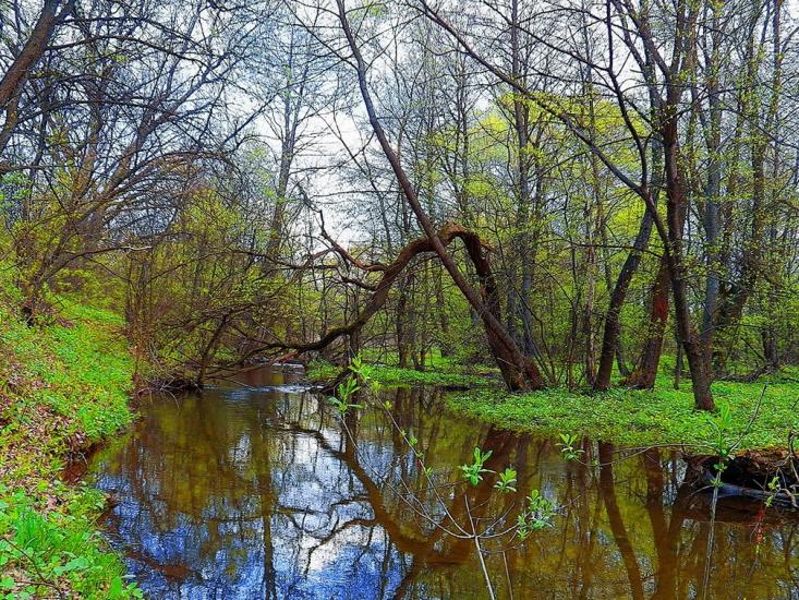 Данилове з panoramio.com - Данилово